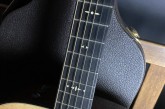 Taylor 510E-11.jpg